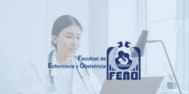 Logo de FENO Bolsa de Trabajo