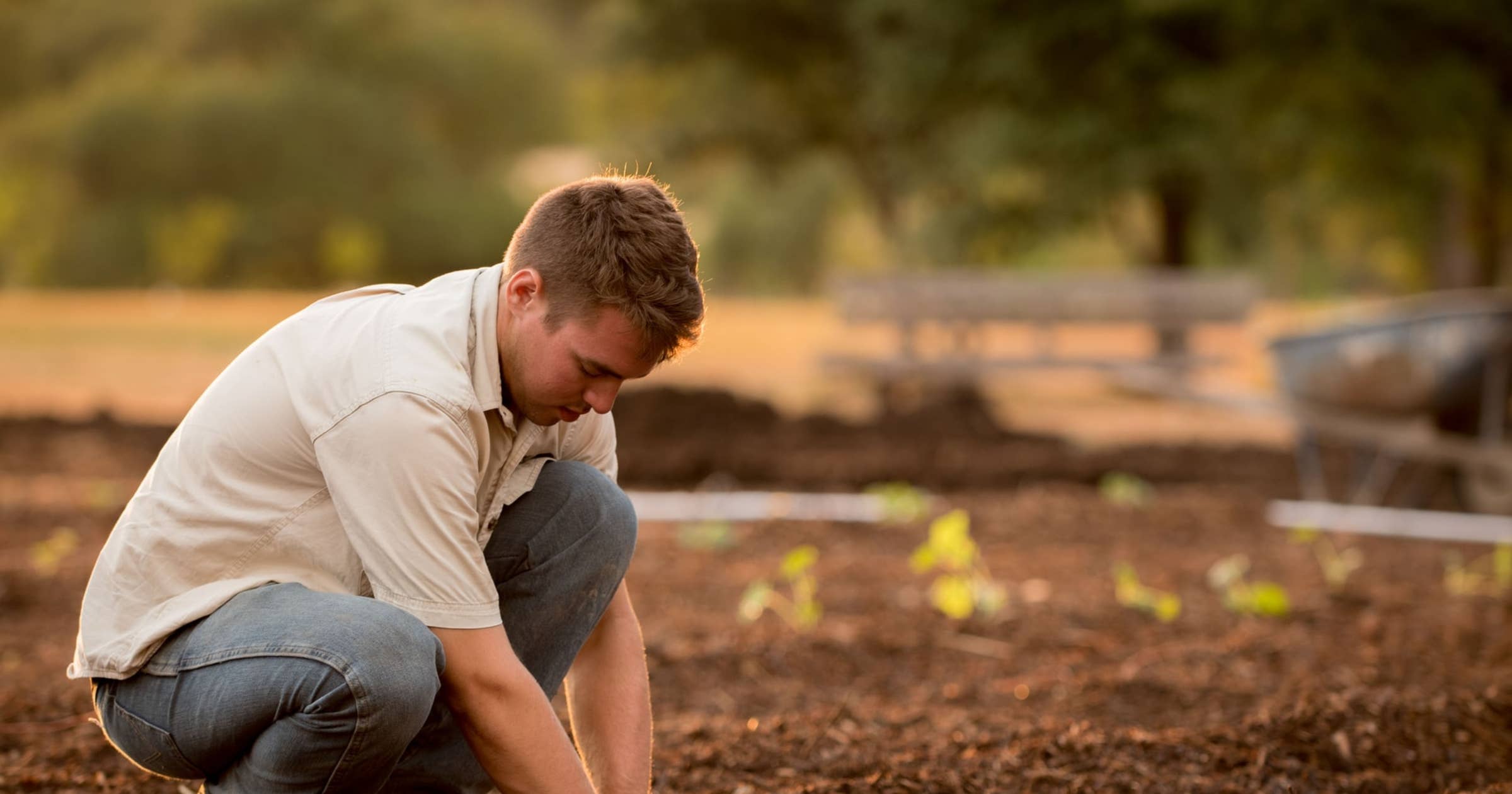 Agronomist Job Description