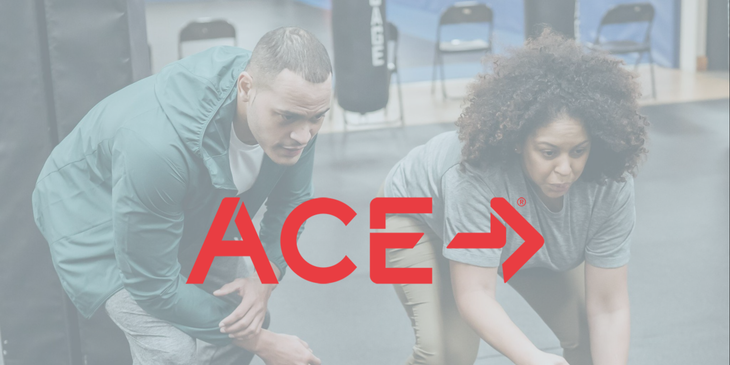 ACE Fitness Job Board logo.