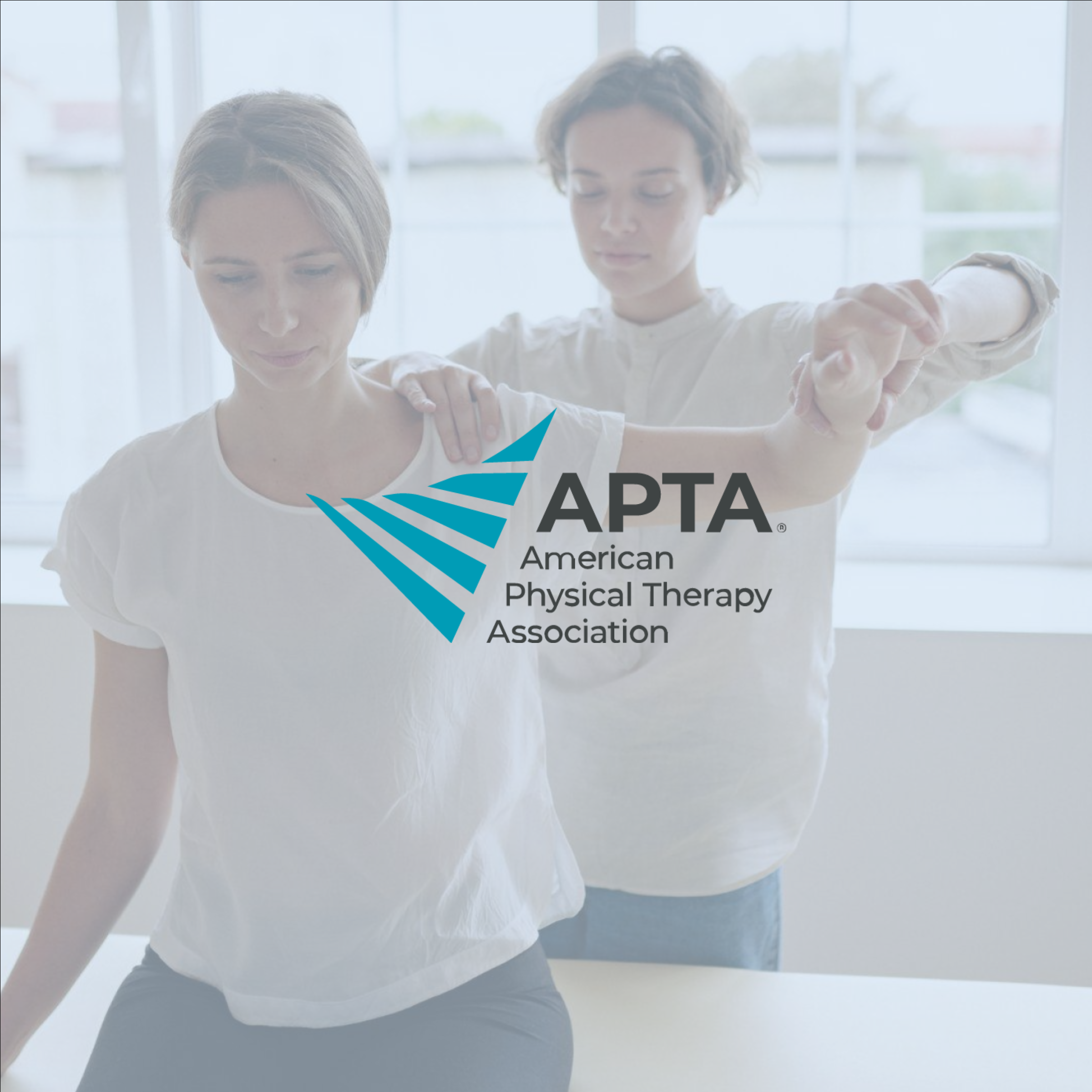 American Physical Therapy Association