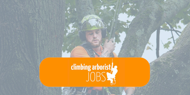 ClimbingArboristJobs.com logo.