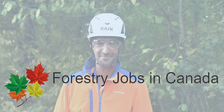 Forestry Jobs in Canada logo.