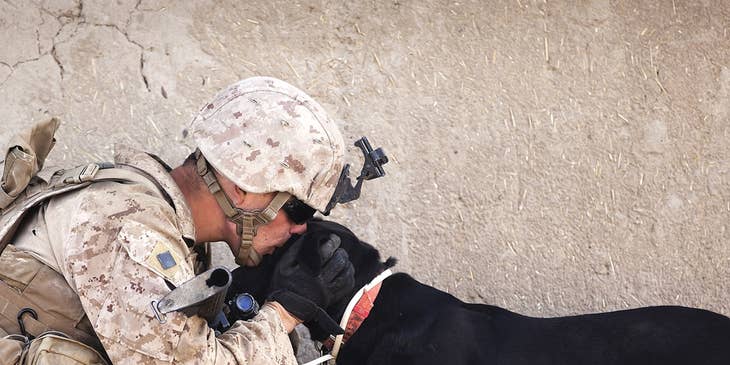A veteran kneeling and kissing a black dog.