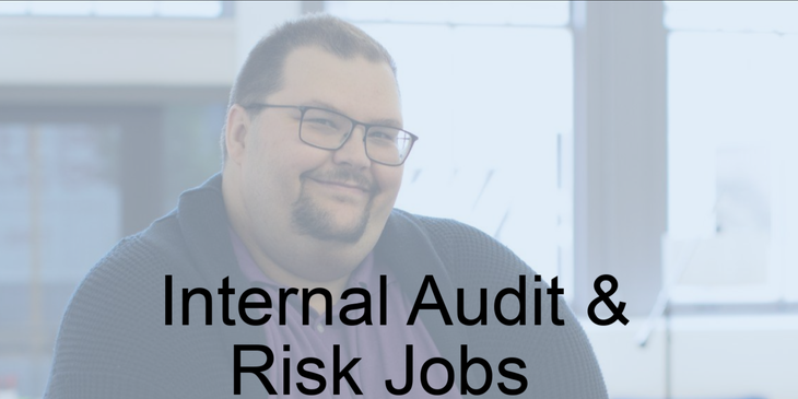 Internal Audit & Risk Jobs Logo.