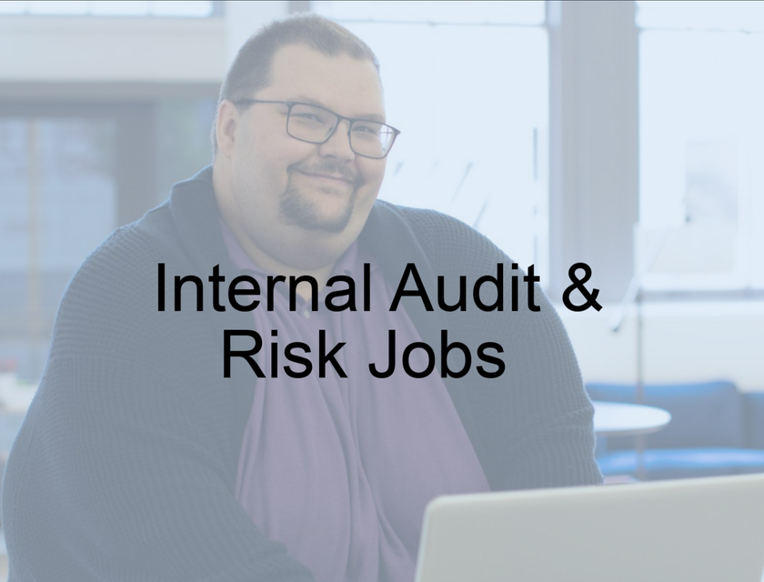 internal-audit-risk-jobs