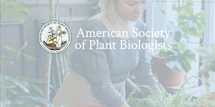 Plantae Career Center logo.