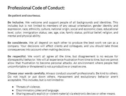 Professional Code of Conduct