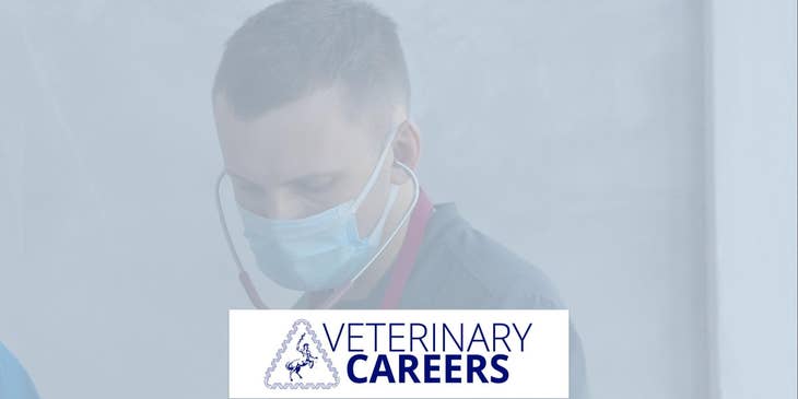 VeterinaryCareers.com.au logo.