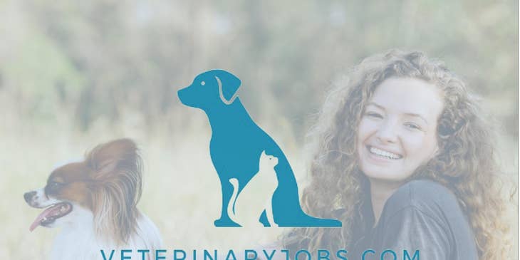 VeterinaryJobs.com logo.