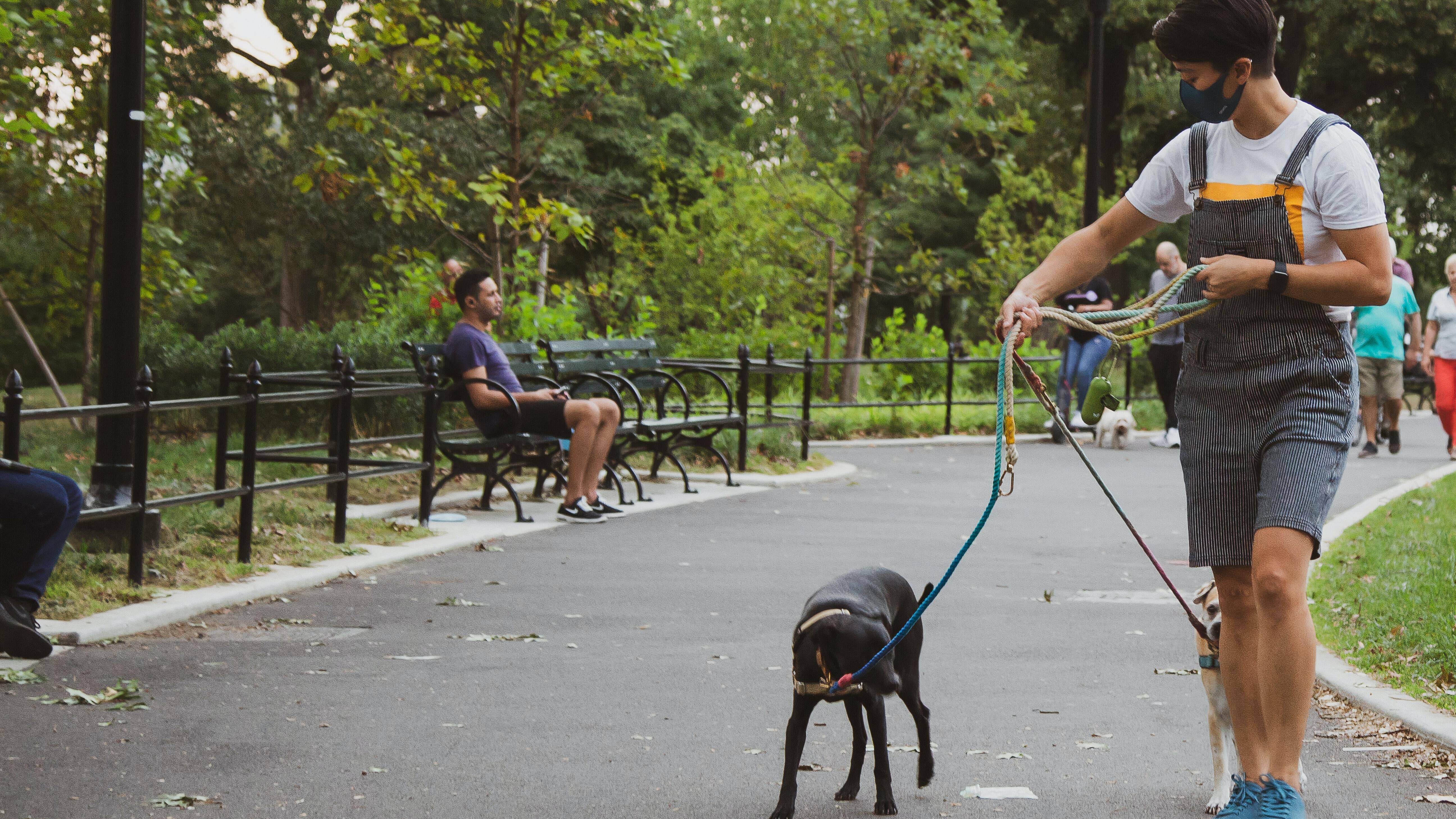 should you tip a dog walker