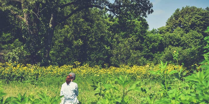 Ecologist standing on a field and collecting samples of plants and different organisms for research