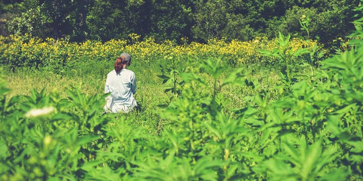 Ecologist standing on a field and collecting samples of plants and different organisms for research