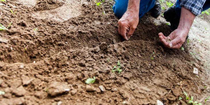 Geologist checking a plot of soil