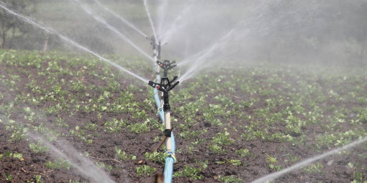 irrigation system in a farm