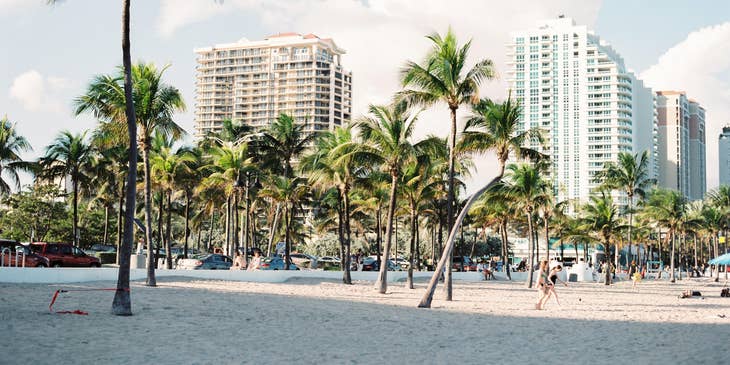 View of Miami Beach with palm trees and skyscrapers in the background.