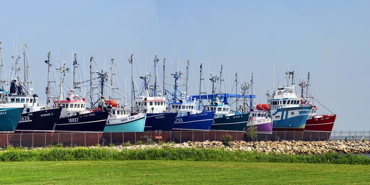 Fishing boats with a green lawn in the foreground in New Brunswick, Canada.