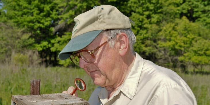 Park ranger holding a magnifying glass and looking inside the bird box as part of his patrol duty in a preserved area
