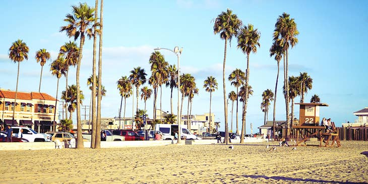 A beach with palm trees against a blue sky in Santa Ana, California.