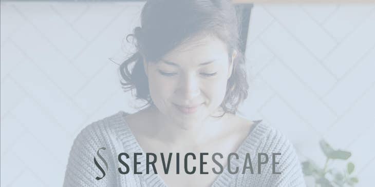 ServiceScape logo.